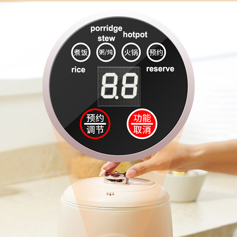 Nuovo Piccolo Cuociriso Elettr - Baby Food Recipe Book recensione e prezzo