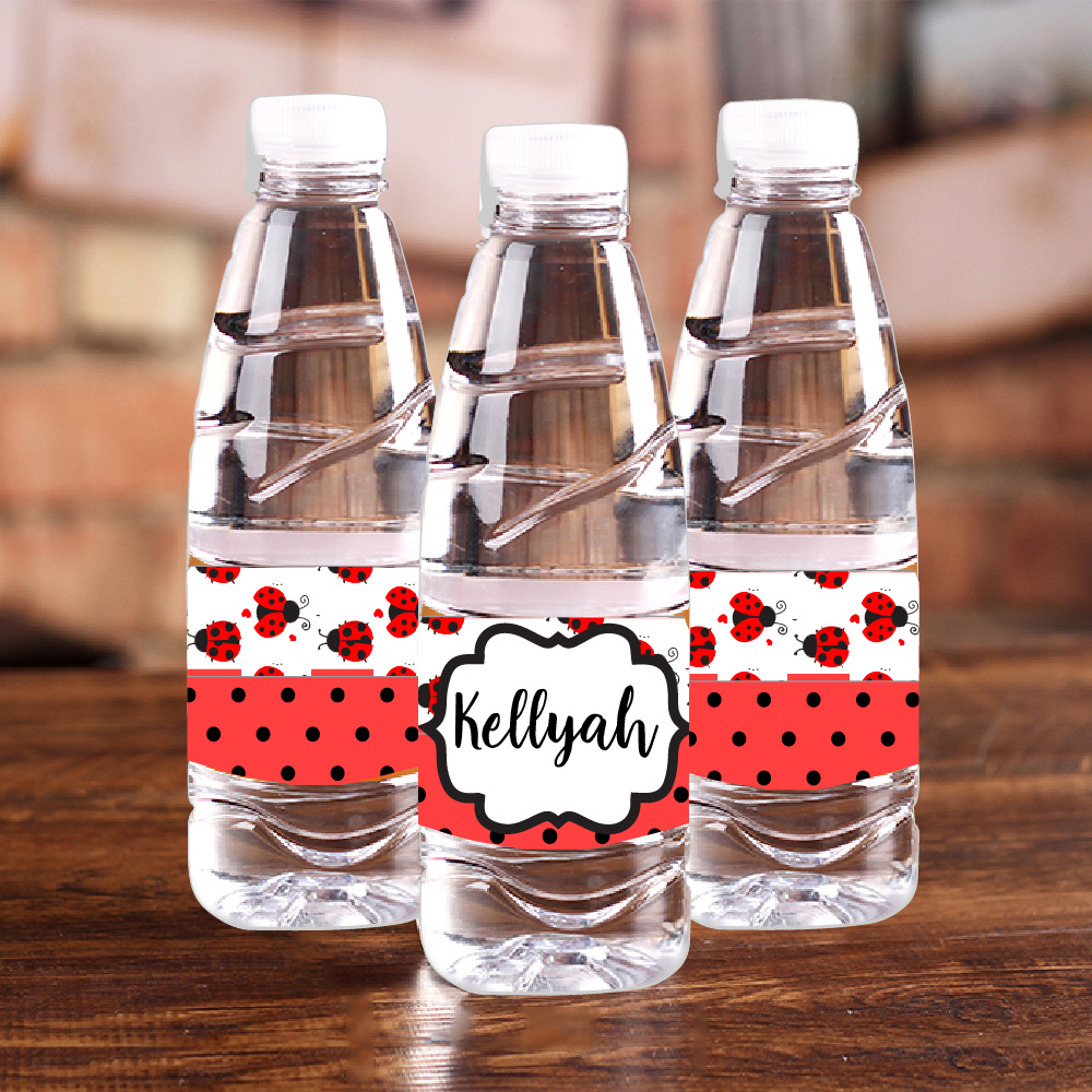 Coccinella personalizzata Bott - Baby Food Plan recensione e prezzo